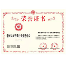 中国认证咨询行业先进单位